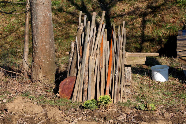 Improvised wooden stakes for home garden stacked in single pile next to old dilapidated cracked homemade wooden bench and white plastic bucket surrounded with grass and trees on warm sunny winter day - Photo, Image