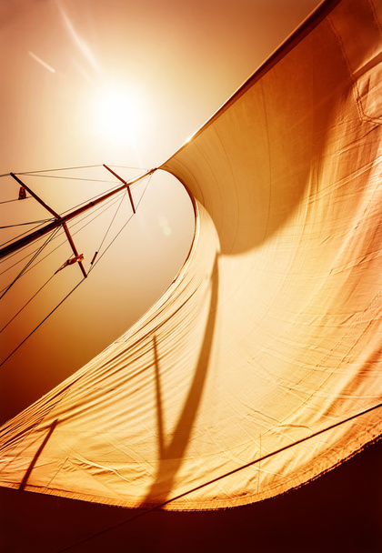 Sail fluttering in the wind - Photo, Image