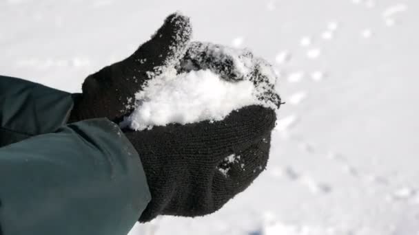 Kezek fekete kesztyűben tartsa fehér hó és próbálja szobrászni a hógolyó a háttérben a téli napsütéses nap - Felvétel, videó