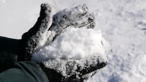 Ruce v černých rukavicích drží bílý sníh a snaží se vymodelovat sněhovou kouli na pozadí zimního slunečného dne - Záběry, video