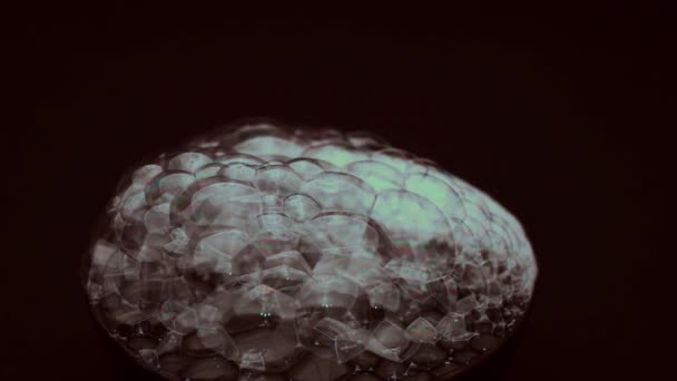 Buborékok szappanhab, közelkép, absztrakt színek, fekete alapon, makro fotózás - Felvétel, videó