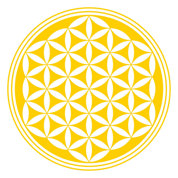 Inverted golden Flower of Life. A geometrical figure, spiritual symbol and sacred geometry. Overlapping circles forming a mandala, and flower like symmetrical pattern. Illustration over white. Vector. - Vector, Image