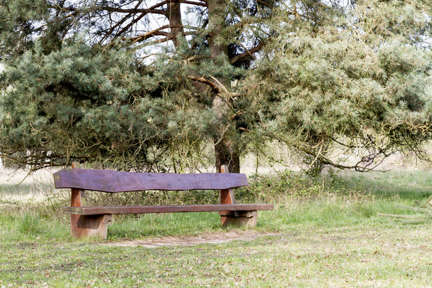 outdoor bench with tree in background - Photo, Image