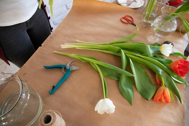 Kobieta kwiaciarnia pracuje nad stworzeniem kreatywnego bukietu tulipanów dla klienta. Widok góry. Świeże białe i czerwone tulipany w kwiaciarni. Biurko kwiaciarni z nożyczkami, wazonami i sekatorami. - Zdjęcie, obraz