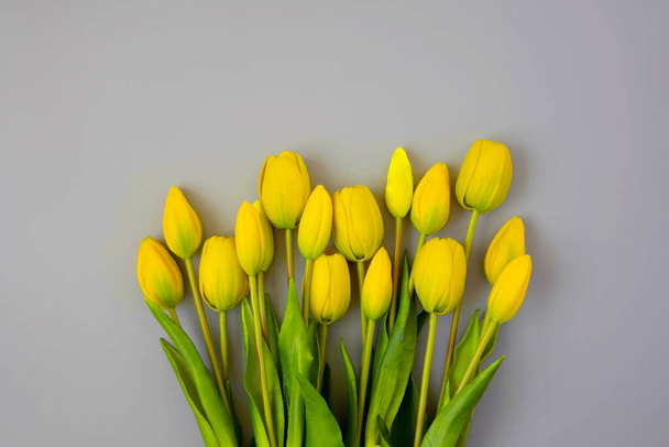 Tulipes jaunes sur fond gris. Couleur tendance de l'année 2021. Illuminating Yellow and Ultimate Gray. Espace de copie. Concept de fleur minimale créative. - Photo, image