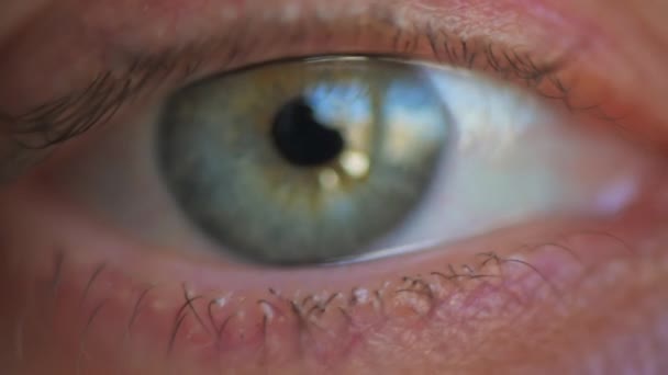 Primer plano de un ojo de mujer, mirando hacia la cámara y parpadeando, enfoque suave - Metraje, vídeo