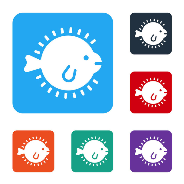 White Puffer fish icon isolated on white background. Fugu fish japanese puffer fish. Set icons in color square buttons. Vector. - Vector, Image