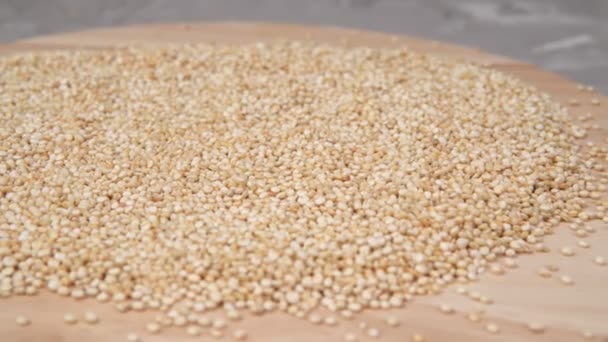 Kvinoa groats lähikuva. terveellistä ruokavaliota. valikoiva kohdentaminen - Materiaali, video