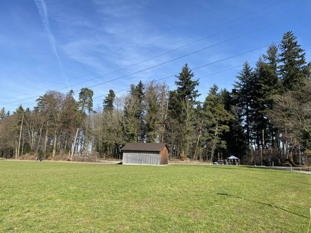 Paisaje natural con pastos de primavera temprana y bosques mixtos en el área del estanque Bergweiher y en el área protegida de Grindelriet sobre el lago Zurich (Zuerichsee), Horgen - Suiza - Foto, Imagen
