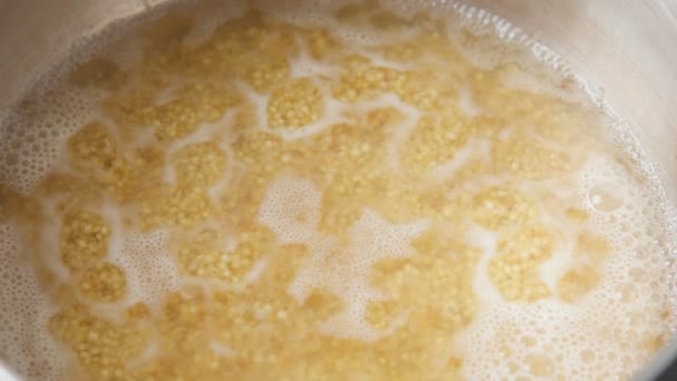 Quinua blanca hervida Semillas de Chenopodium. Cocinar gachas de quinua - Imágenes, Vídeo
