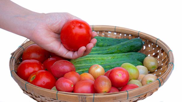 Weibliche linke Hand Halte die Tomate in deiner Hand. Bambuskorb legte verfügbares Obst und Gemüse wie Gurken und Tomaten auf weißem Hintergrund. - Foto, Bild