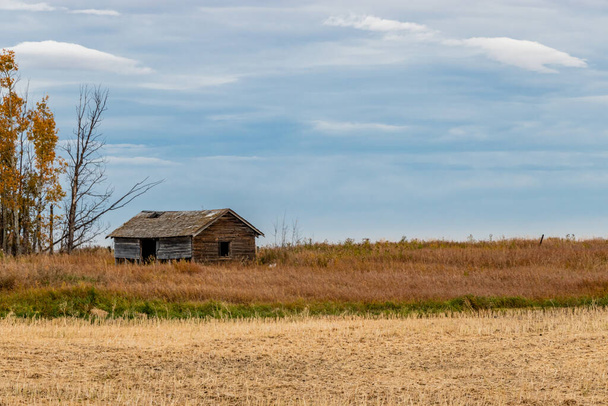 Rustieke boerderijgebouwen nog steeds overeind en sommigen hebben opgegeven pronken met de geschiedenis van het gebied. Mountainview County, Alberta, Canada - Foto, afbeelding