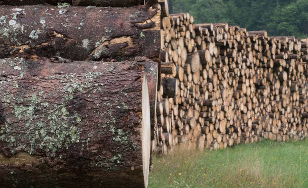 складене або зібране дерево, зберігання деревини з лісу
 - Фото, зображення