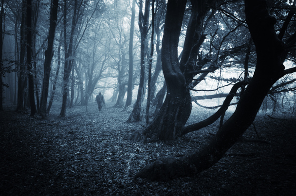 Man in dark forest with fog on halloween - Photo, Image