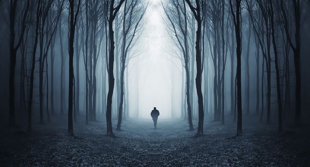 mężczyznę idącego w tajemniczym lesie nierealne z mgły - Zdjęcie, obraz