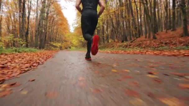 Sparare alle gambe di un atleta di corsa. Allenamento in esecuzione nella foresta autunnale. 4K - Filmati, video