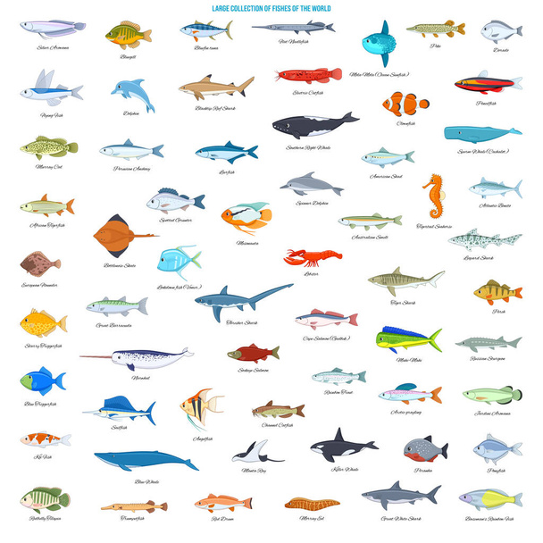 Large Collection of Fishes of the World. Cartoon style vector icons - Vector, Image