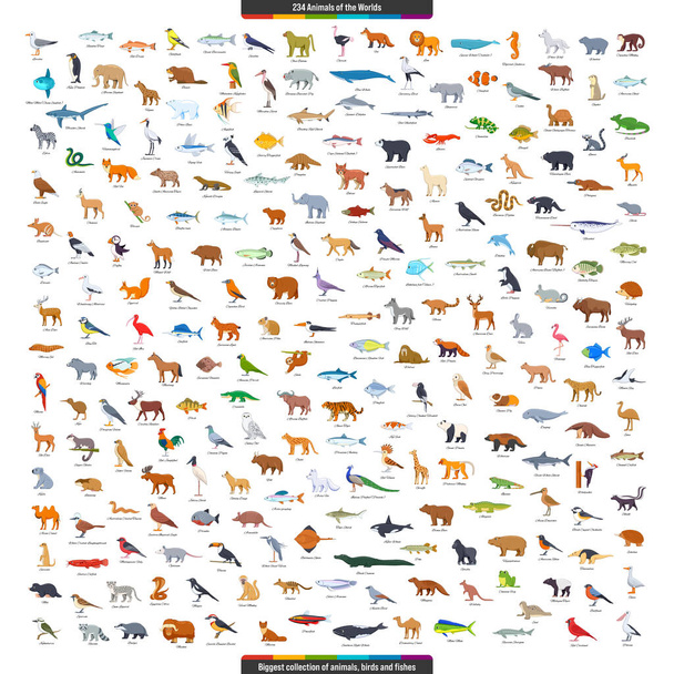 Animali della Grande Collezione Mondiale. Animali, uccelli e pesci che vivono in tutti i continenti. Illustrazione vettoriale stile cartone animato - Vettoriali, immagini
