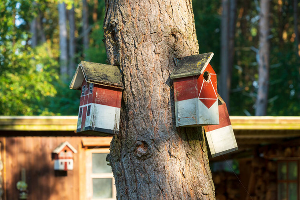 Три кормушки для птиц на дереве в саду - Фото, изображение