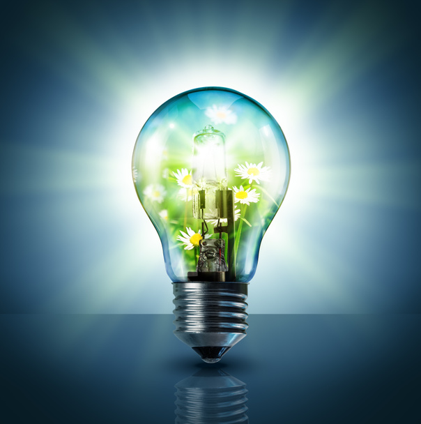 Ecological idea - green in lamp - Foto, Bild