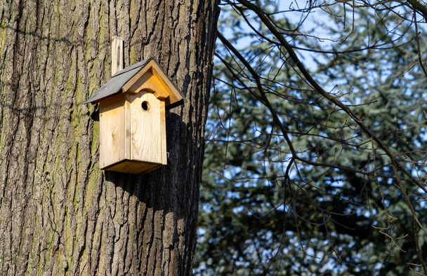 Ayuda para anidar pájaros hecha de madera en un árbol, caja del nido - Foto, imagen
