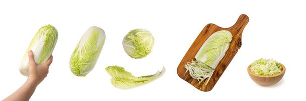 Χέρι κρατώντας ολόκληρο κινέζικο λάχανο, λάχανο Νάπα ή Wombok απομονώνονται σε λευκό φόντο. Σετ φρέσκων πράσινων λάχανων - Φωτογραφία, εικόνα