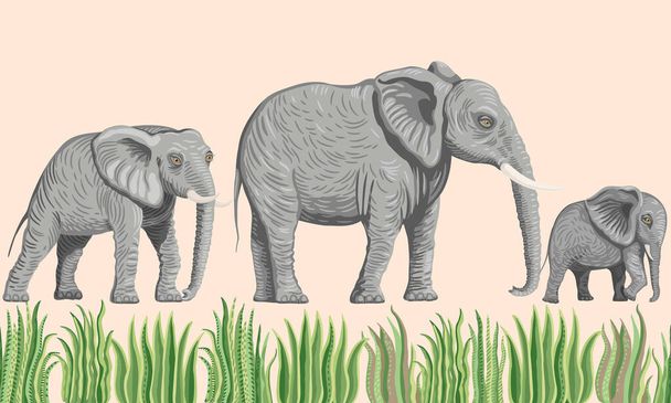Безшовна межа векторних саванних сафарських тварин. Африканські слони, пальмове листя, трава, трава, чагарники, ізольовані на бежевому тлі. - Вектор, зображення