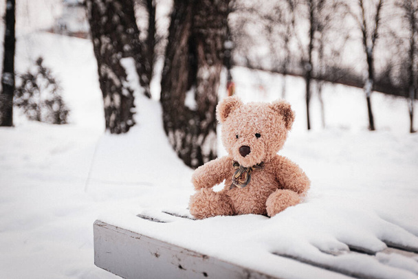 Medvídek zůstal v zimě na dětském hřišti. - Fotografie, Obrázek