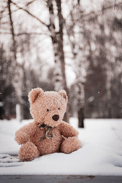 Medvídek zůstal v zimě na dětském hřišti. - Fotografie, Obrázek