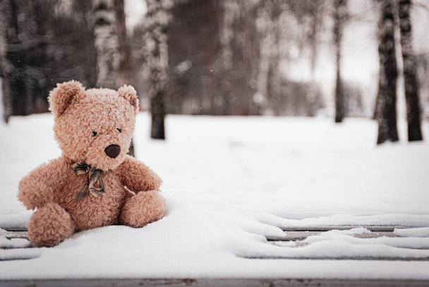 El oso de juguete fue dejado en el invierno en el parque infantil. - Foto, Imagen