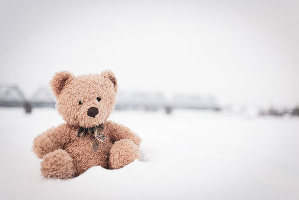 The toy bear was left in the winter at the children's playground - Photo, Image