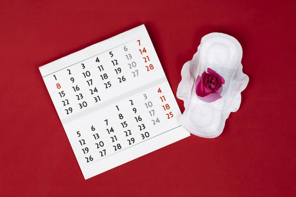 Primo piano del calendario femminile dei periodi per controllare i giorni delle mestruazioni, isolato su uno sfondo rosso. Concetto ginecologico sanitario medico. Ricevuto. Lay piatto. - Foto, immagini