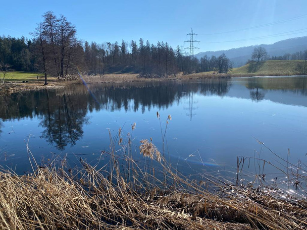 ガッティッカーヴァイアー池と保護された自然保護区の冬の終わりと早春、ガッティコン-チューリッヒのカントン、スイス(スイス)) - 写真・画像