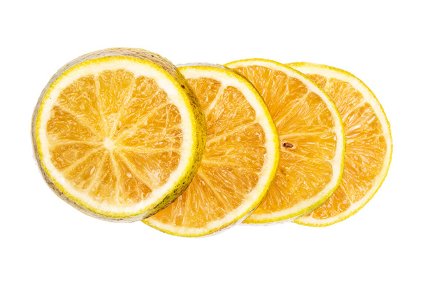 Oranges on a white background - Фото, изображение