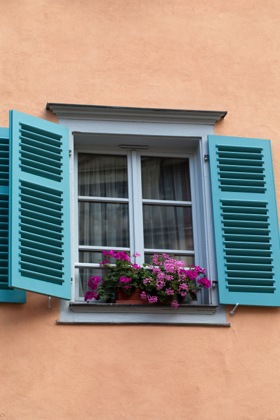 Ikkuna ikkunaluukut ja kukkaruukut
 - Valokuva, kuva