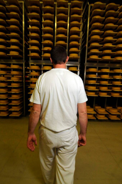 工業食品製造のチーズメーカーとして - 写真・画像