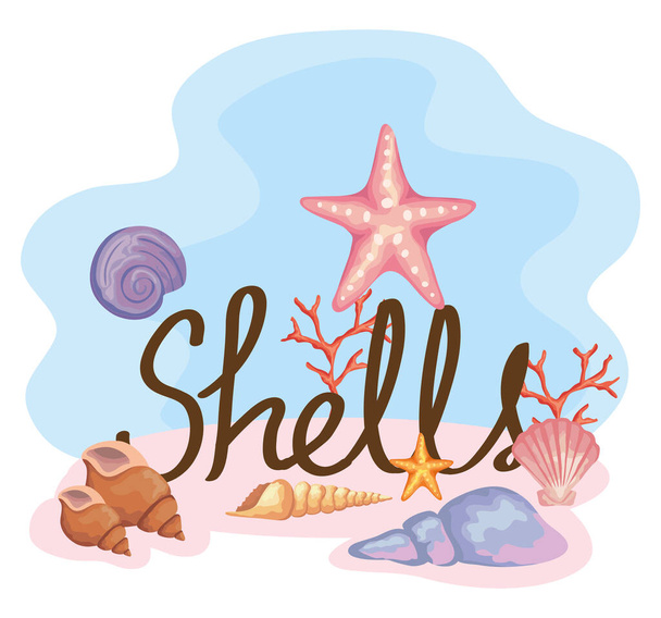 eight sea shells colors set scene and lettering - Vector, Image