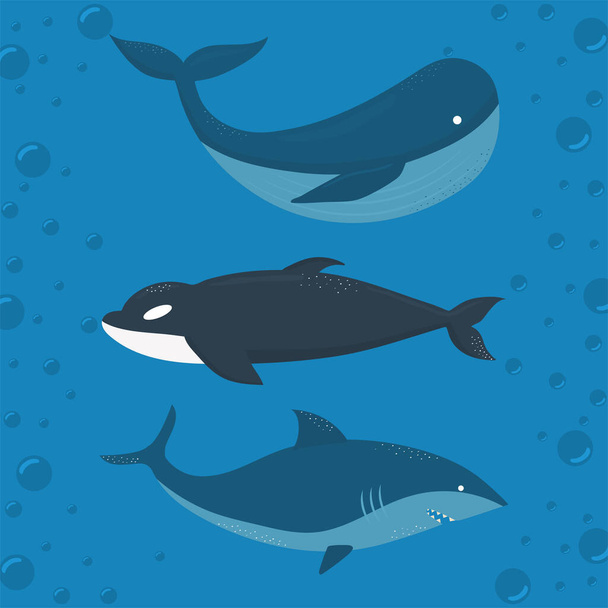 blue whale, killer whale and shark on a water background - Vector, Image