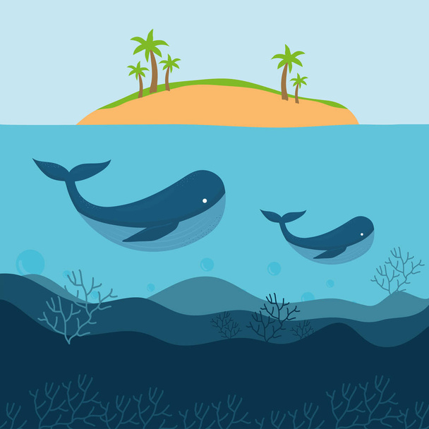 par de ballenas bajo una isla - Vector, Imagen