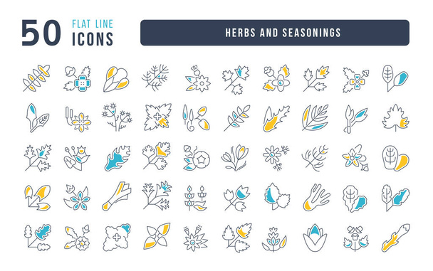 Herbs and Seasonings. Collection of perfectly thin icons for web design, app, and the most modern projects. The kit of signs for category Food and Drink. - Vector, Imagen
