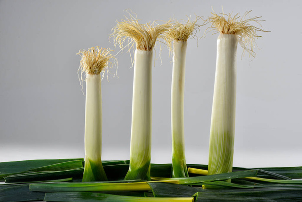 Alhos-porros de pé com as raízes em cima de uma base de folhas de alho-porro - Foto, Imagem