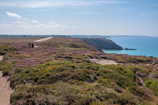 Cotes-d-Armor, França - 25 de agosto de 2019: Bela paisagem com prados lilás no Cabo Frehel, na Bretanha, no noroeste da França - Foto, Imagem