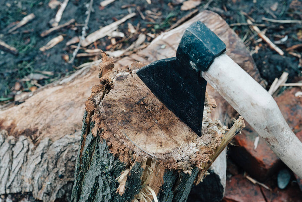 ax sticks out in the tree stump chopping firewood harvesting - Φωτογραφία, εικόνα