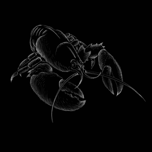 Crab icon, vector illustration on black background - Vector, Image