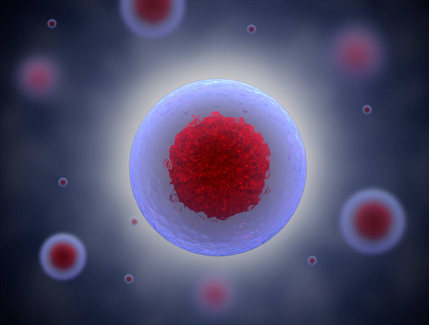 3D幹細胞の3Dイラスト。核、核、真核細胞の核。人体細胞は. - 写真・画像