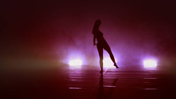 Young beautiful ballerina on smoke stage dancing sensual erotic modern ballet in the dark - Foto, afbeelding