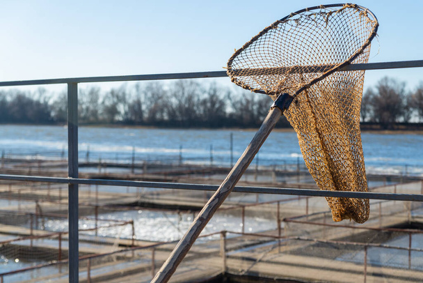 Una rete a mano per la raccolta del pesce negli allevamenti ittici. - Foto, immagini