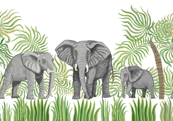 PrintSeamless μοτίβο συνόρων των διανυσματικών σαβάνα σαφάρι ζώα. Αφρικανικοί ελέφαντες, φύλλα φοίνικα, γρασίδι, βότανα, θάμνοι απομονωμένοι σε λευκό φόντο - Διάνυσμα, εικόνα