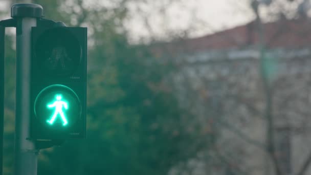 Traffic lights, green lights turn red. - Footage, Video