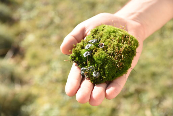Чиста рука тримає маленький квітучий острів мохів з невеликими рослинами, прикріпленими до нього
. - Фото, зображення